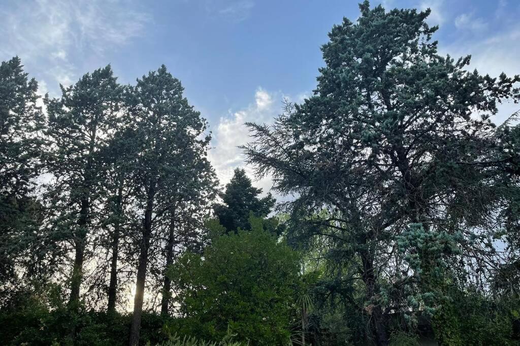 מרטינה פרנקה Villa Luciana מראה חיצוני תמונה