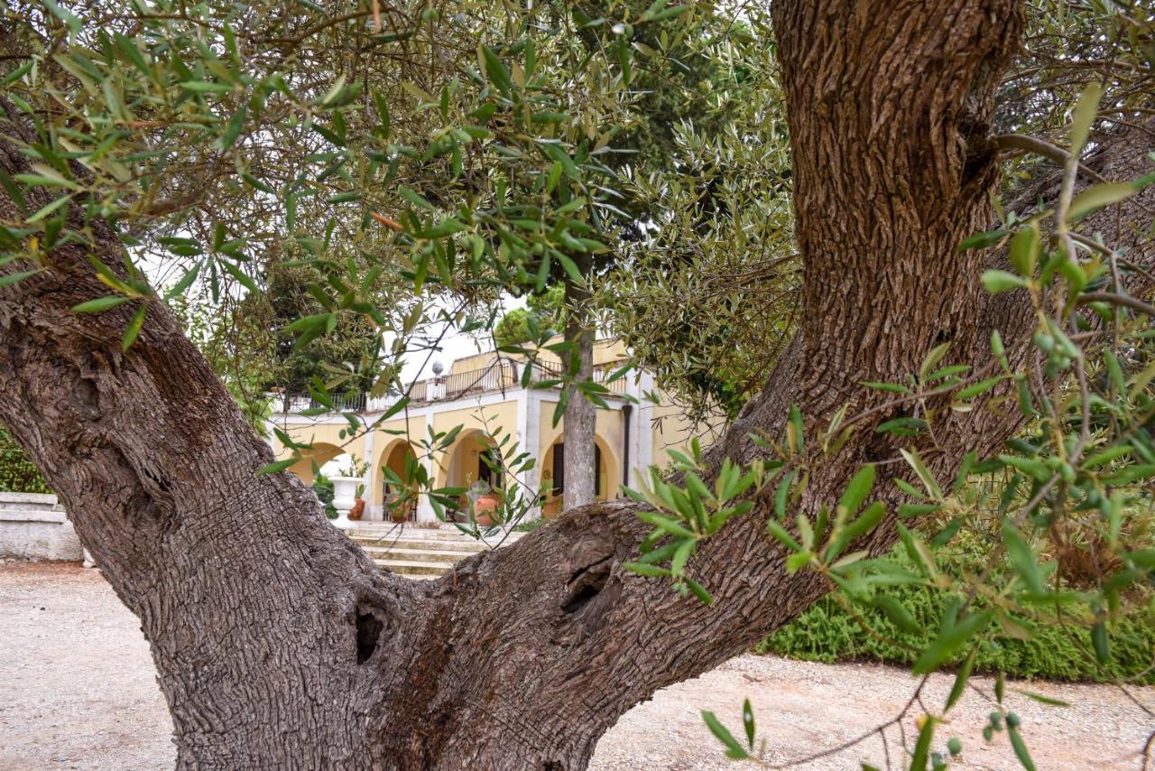 מרטינה פרנקה Villa Luciana מראה חיצוני תמונה