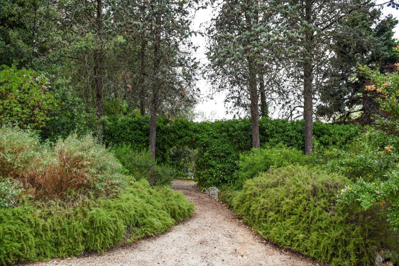 מרטינה פרנקה Villa Luciana מראה חיצוני תמונה